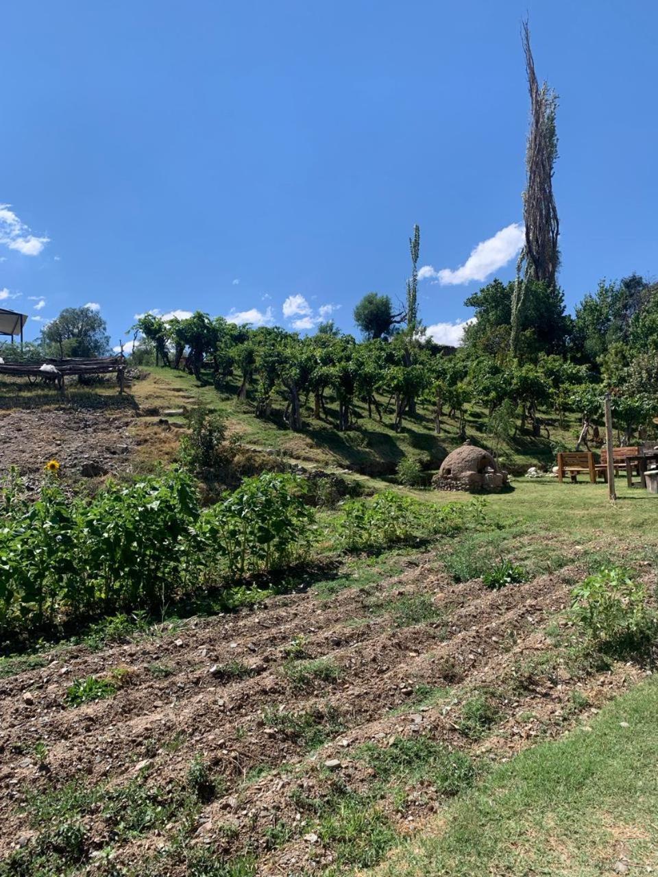 Cabana Cortaderas Mi Campito Cachi Salta Ngoại thất bức ảnh